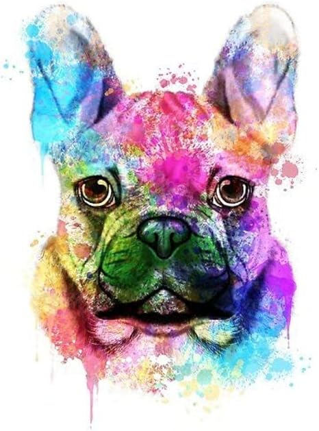 Amazon 動物diyの絵数字でカラフルな犬アクリル絵の具キャンバス上のユニークなギフト家の装飾 絵具 通販