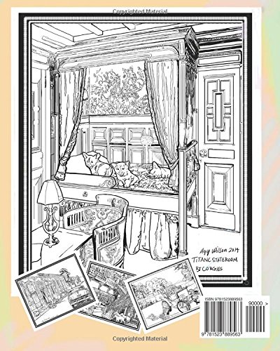 Precious Pets Kittens Amp Puppies Amp Old Places An Adult