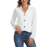 Women's Collared Button Down Shirts, Long Sleeve Wrinkle Free Dress Blouses, V Neck Corset Tops, Business Casual Outfits