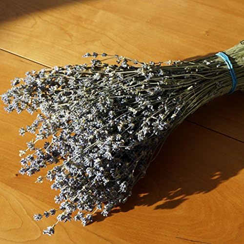 English Dried Lavender - 4 Bundles