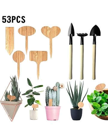 Amazon.es: Marcadores para plantas: Jardín