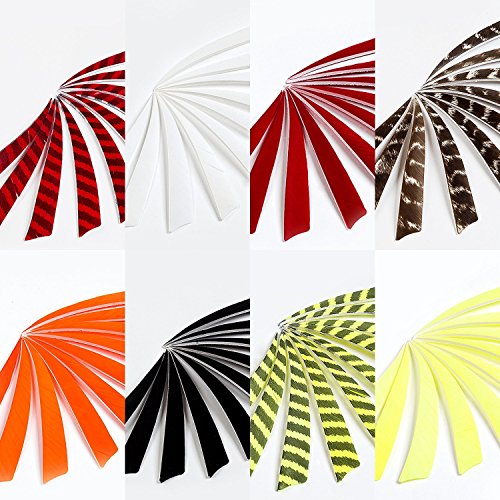 Longbowmaker 5" Shield Shape Natural Feathers Archery Arrow Fletch Fletching Left Wing (30PCS) SF