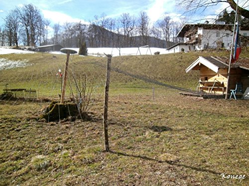 Volierennetz - Breite 3,0m x Länge 10,0m, MW 10,0cm, europ. Fertigung, gewebt, Geflügelnetz, Raubvogelschutz – Bild 3