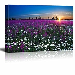 Canvas Prints Wall Art - Sunrise Over a Blossoming Field with Colorful Flowers | Modern Wall Decor/Home Decoration Stretched Gallery Canvas Wrap Giclee Print & Ready to Hang - 12" x 18"
