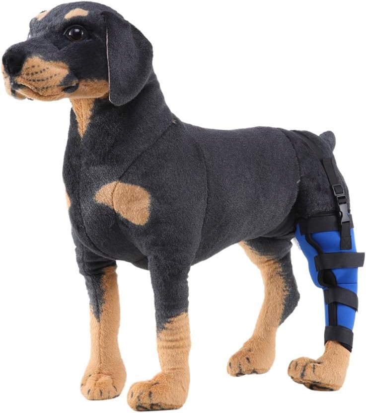 dog leg support