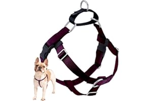 2 Hounds Design Freedom No Pull Dog Harness | Comfortable Control for Easy Walking | Adjustable Dog Harness | Small, Medium & Large Dogs | Made in USA | Solid Colors | 1" LG Burgundy