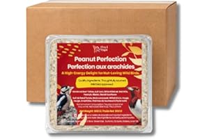 Chirp & Maple, Peanut Perfection Suet, Wild Bird Food, (2.7 KG) 9-Pack