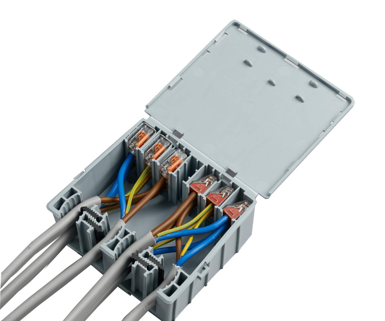 SHARC TRADING Wagobox XLA Pack of 1