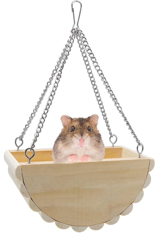 Hr W Hg Pet Rats S S Toy Gs Hk C Chew Toy Cage A Pet S Worldrenowned