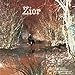 Zior
