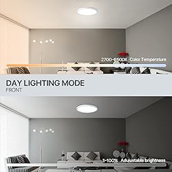 MELEGAN Smart Led Ceiling Light Flush Mount, 12