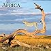 Africa 2019 12 x 12 Inch Monthly Square Wall Calendar, Travel Africa Madagascar Ethiopia Johannesburg Cape Verde (Multilingual Edition) by 