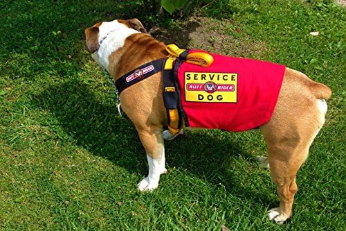 Ruff Rider Service Dog Cape (4 - LG, Red)