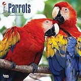 Parrots 2016 Wall Calendar