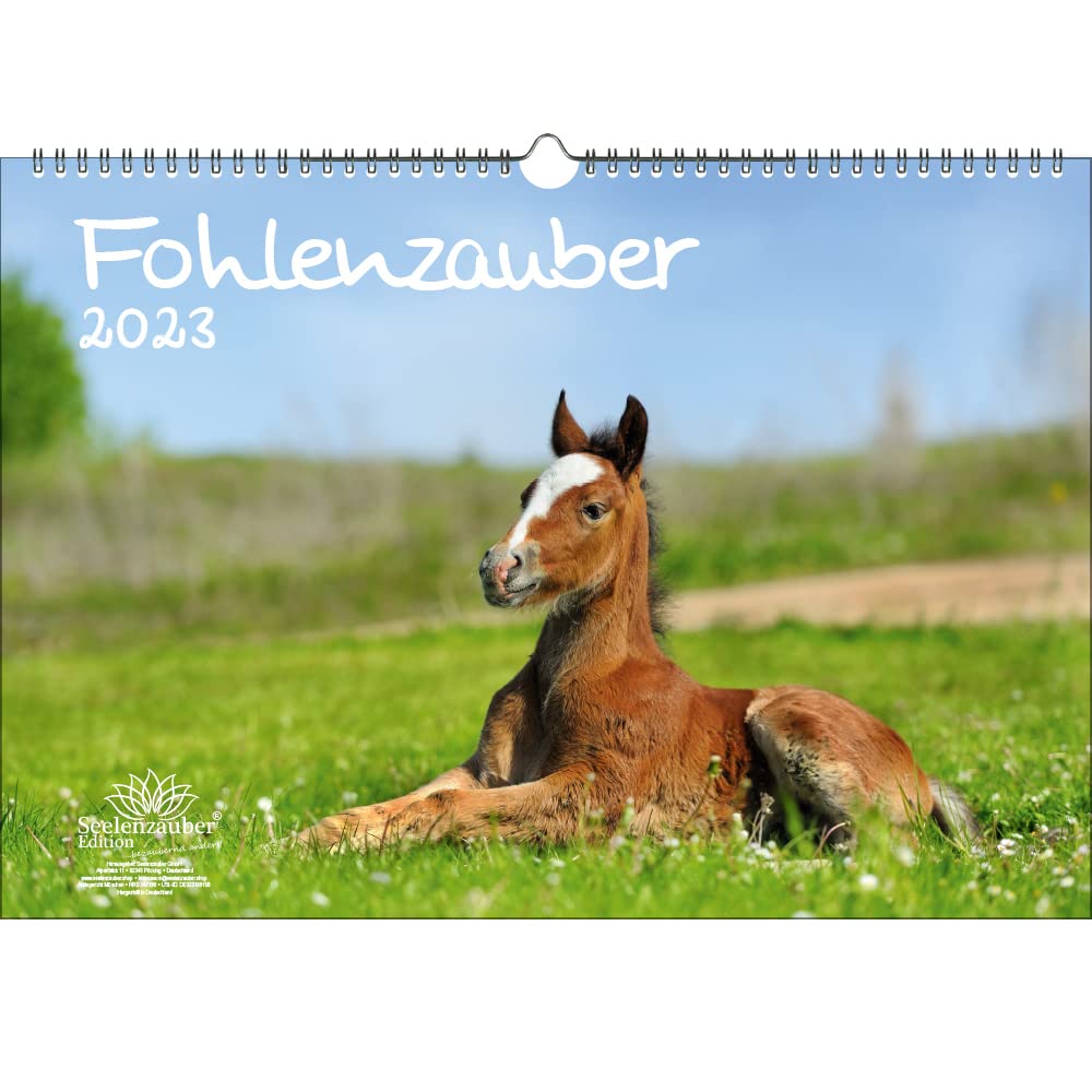 Foal Magic DIN A3 Calendar for 2023 Horses and Foals - Soul Magic, KN2023-3W-0015-D-0