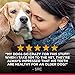 Hill's Science Diet Oral Care, Adult 1-6, Plaque & Tartar Buildup Support, Dry Dog Food, Chicken, Rice, & Barley, 28.5 lb Bag