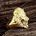 SAINTHERO Men's Vintage 316L Stainless Steel Gold Lion Head Rings Heavy Metal Rock Punk Style Gothic Biker Ring Size 7-14