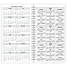 Day-Timer 2019 Weekly Planner Refill, 3-1/2
