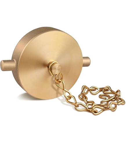 Dixon Valve FC250F Cast Brass Fire Equipment, Cap with Chain and