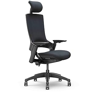 CLATINA Ergonomic High Swivel Executive Chair with Adjustable Height Head 3D Arm Rest Lumbar Support and Upholstered Back for Home Office (Black)