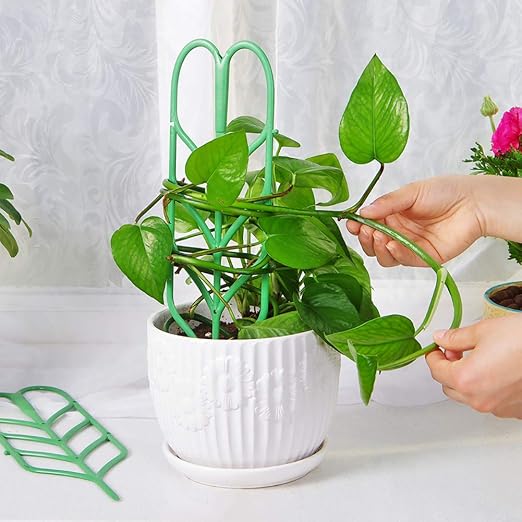 STSERI Soporte de la Forma de la Hoja Soporte de Flores, Soporte ...