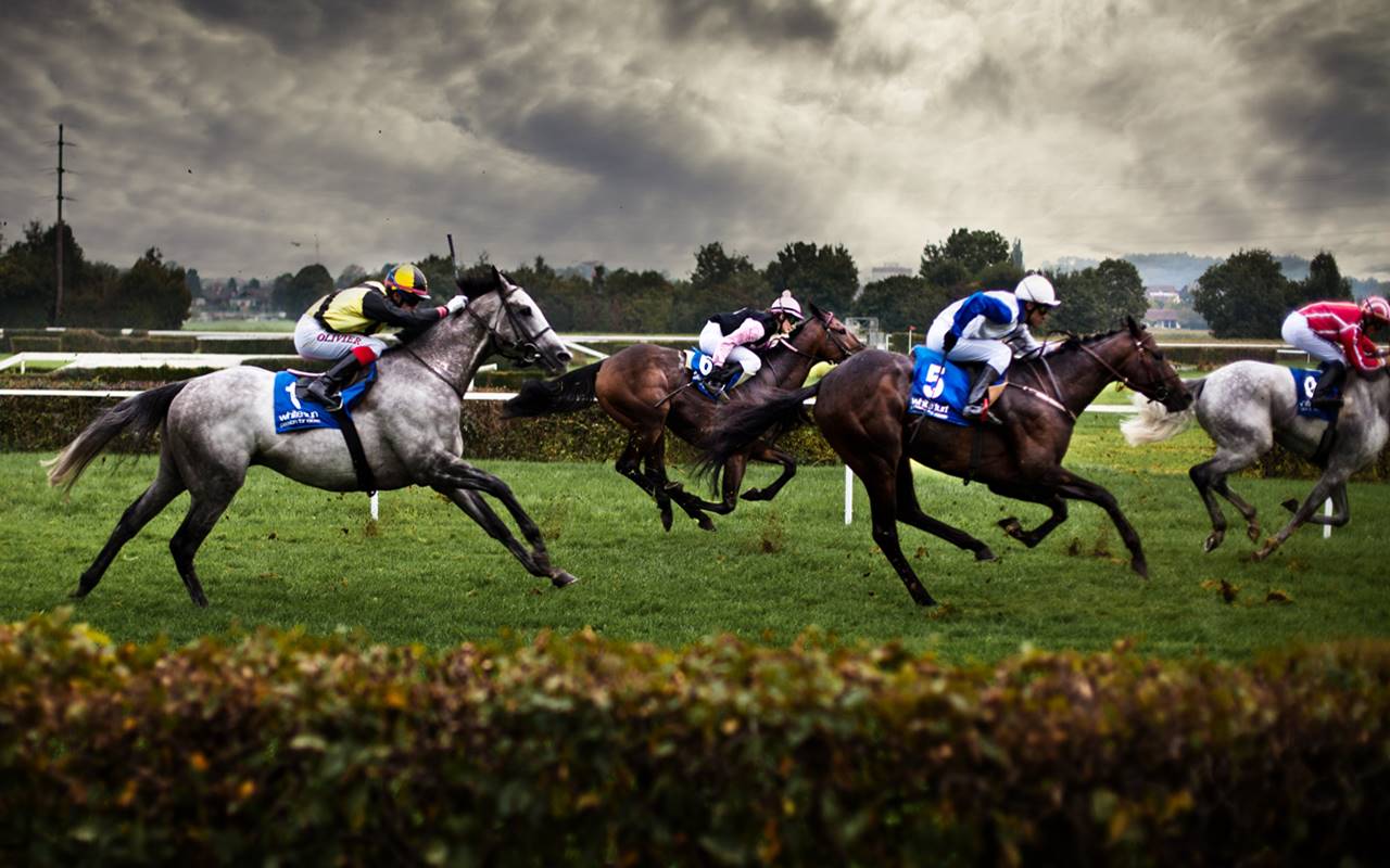 Horse Racing Background - Thumbnail 4