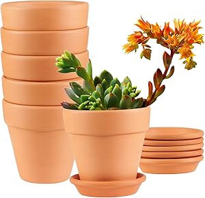 Clay Pots, EHWINE 4 inch Clay Pots for Plants with Saucer Cute Garden Pots Succulent Planters Cactus Flower Pots with Drainage, Set of 6(Plants Not Included)