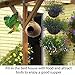 SunGrow Coconut Shell Bird House
