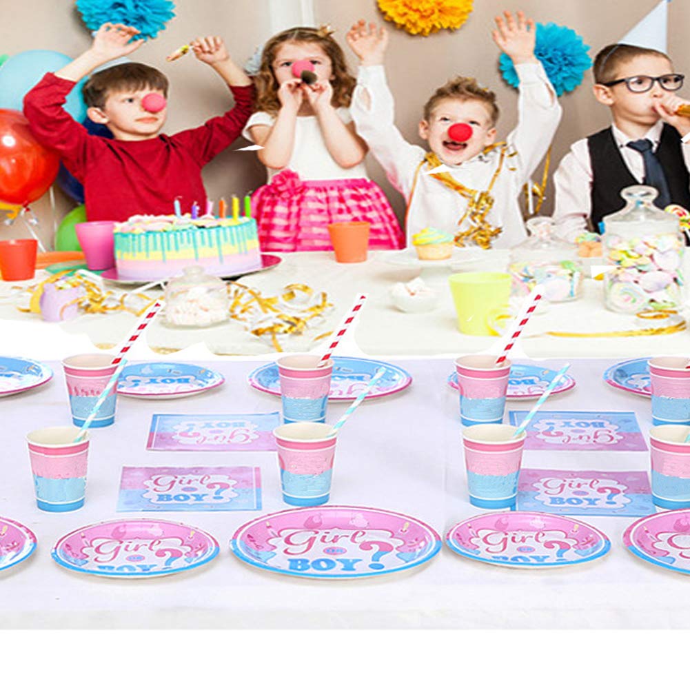 Gender Reveal Party Supplies Plates and Napkins Set, Baby Shower, Children\'s Party Boy or Girl Pink & Blue Birthday Party