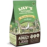 lily's kitchen wet puppy food