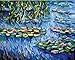 DIY Oil Painting, Paint by Number kit- Worldwide Famous Oil Painting Water Lilies by Monet 16 * 20 inch.