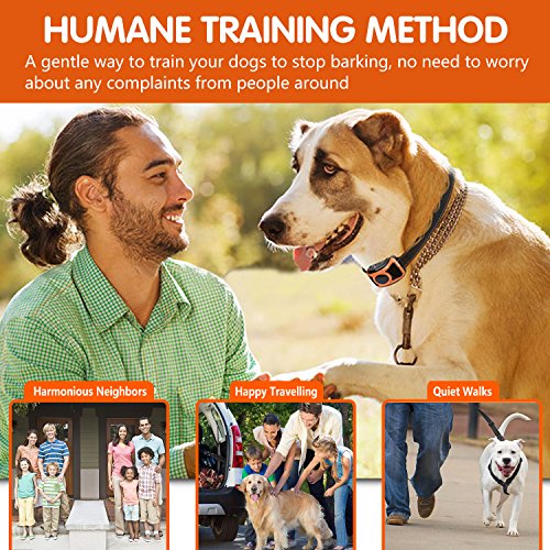 mospro dog training collar