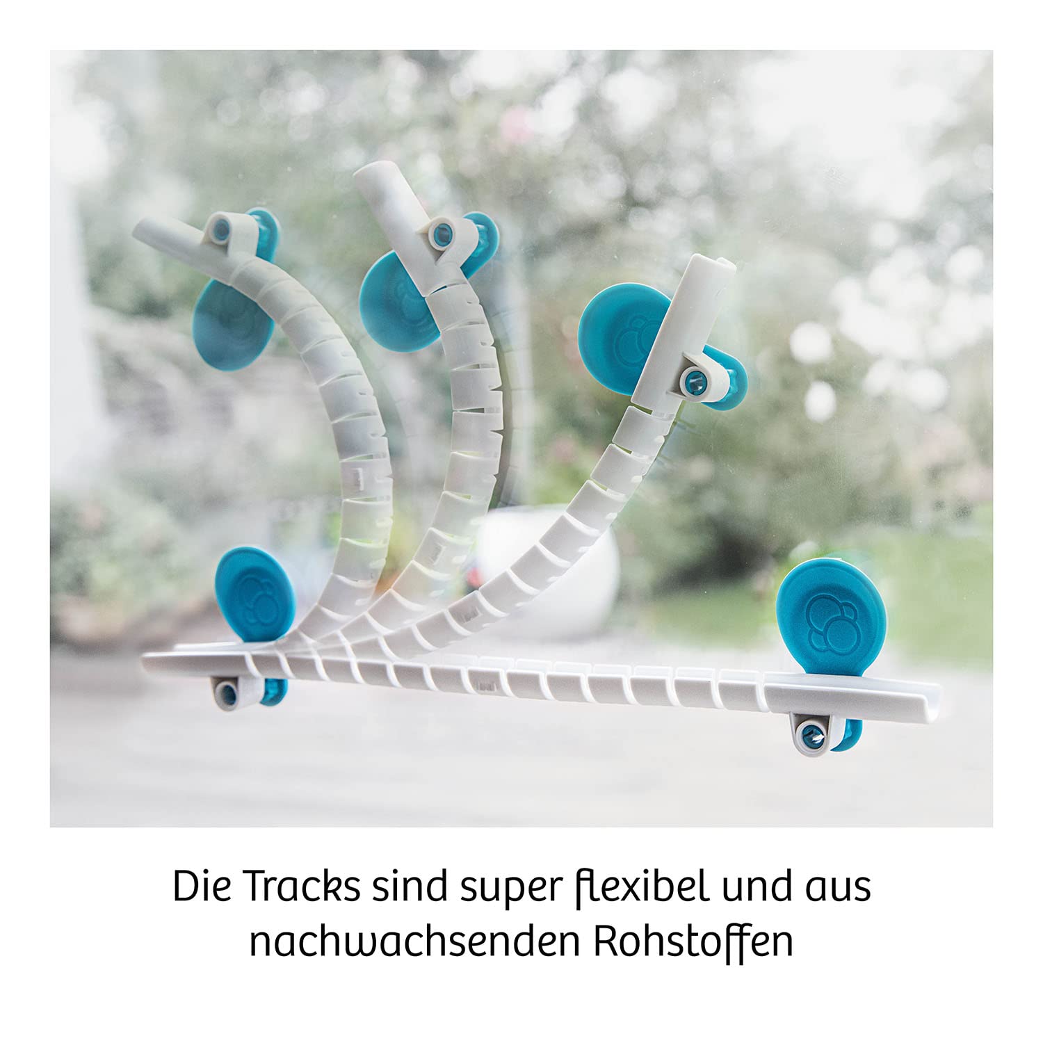 Gecko Run, Starter Set - Experimentierkasten