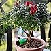 punada Most Easy-Use Plant Watering Device, 4 Pack Watering Stakes/Spikes, Automatic Slow Release Vacation Plant Waterer Slow Release for Outdoor & Indoor Use