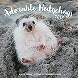 Adorable Hedgehogs Mini 2018: 16 Month Calendar Includes September 2017 Through December 2018 by Editors of Rock Point