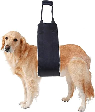 dog hip brace amazon