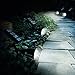 Waterproof Solar Garden Lights - Battery Powered Outdoor Sensor LED Lighting - Wall, Yard, Pool, Patio, Lawn or Driveway Mounting Lanterns - Pack of 2