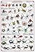 (24 x 36) Arachnida Poster - Spiders, Scorpions, Ticks and More