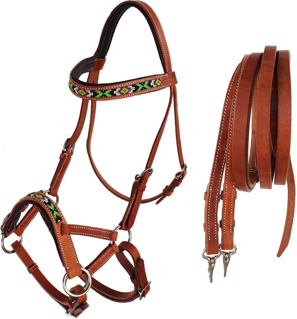 CHALLENGER Horse Western Padded Leather Beaded Bitless Sidepull Bridle 77RT21TN-F : Sports & Outdoors