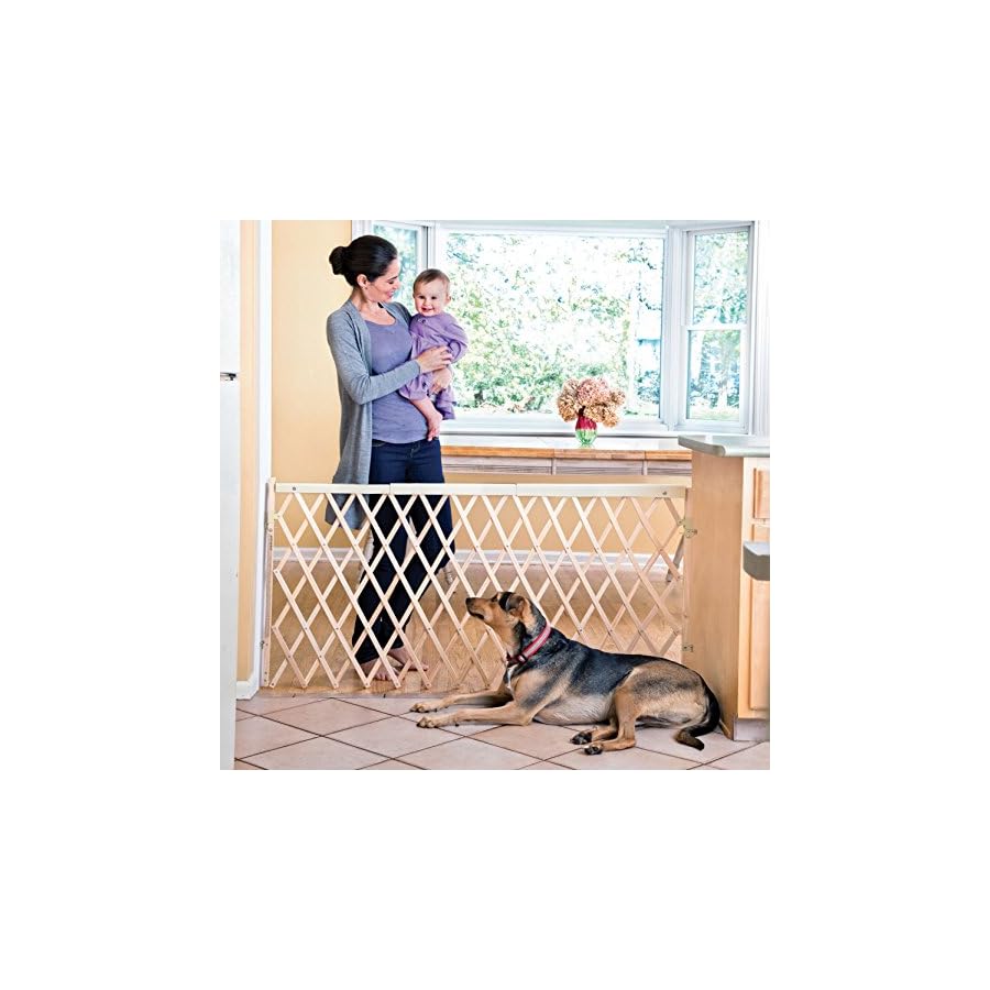 evenflo room divider gate