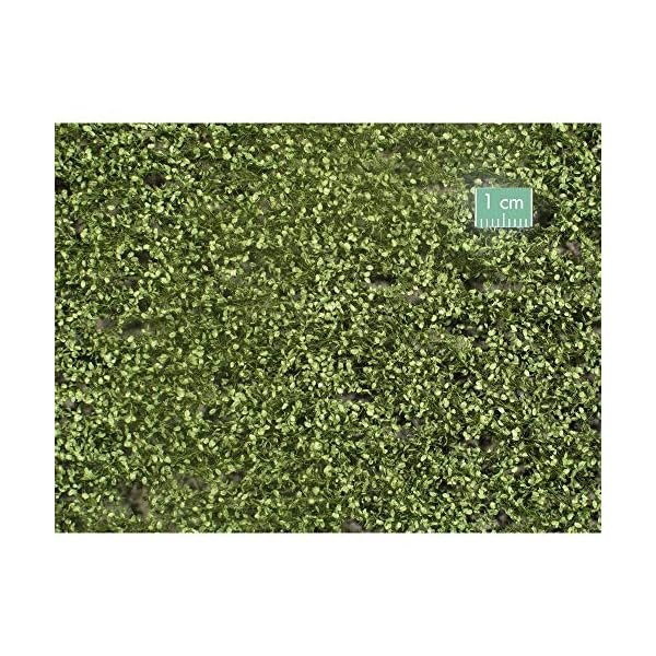 Silhouettes Sommer Buche foliage-27 X 15 cm-20224, grün