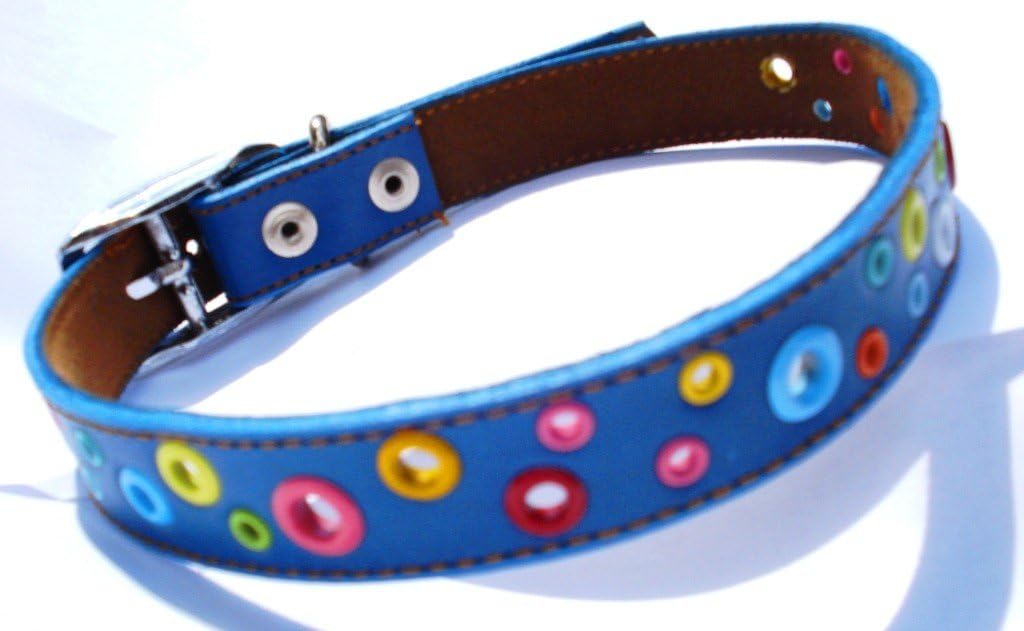 fine leather dog collars