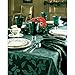 Lenox Holly Damask Napkin 4-Pack, Green
