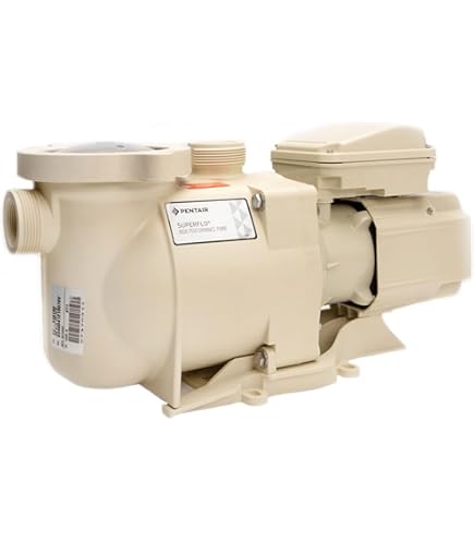 Amazon.com : Pentair EC-145322 Sand Dollar SD60 Top Mount 22