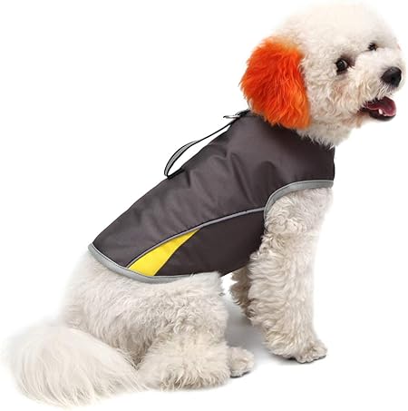 thunder jacket small dog