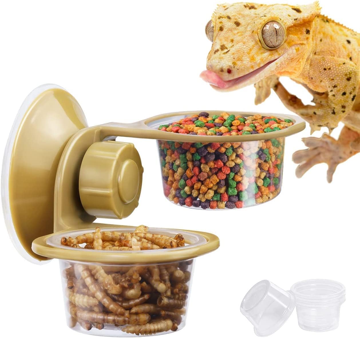 LATRAT Reptile Feeding Bowl Reptile Feeding Bowl Feeding Bowl Drinking Bowl Gecko Feeding Station Bowl Holder with Suction Cup for Terrarium Reptiles (Double Sink)