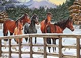 Snowy Pasture, A 35 Piece Tray Puzzle by Cobble Hill