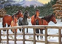 Snowy Pasture