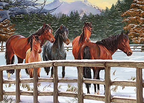 Snowy Pasture