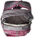 Osprey Daylite Backpack